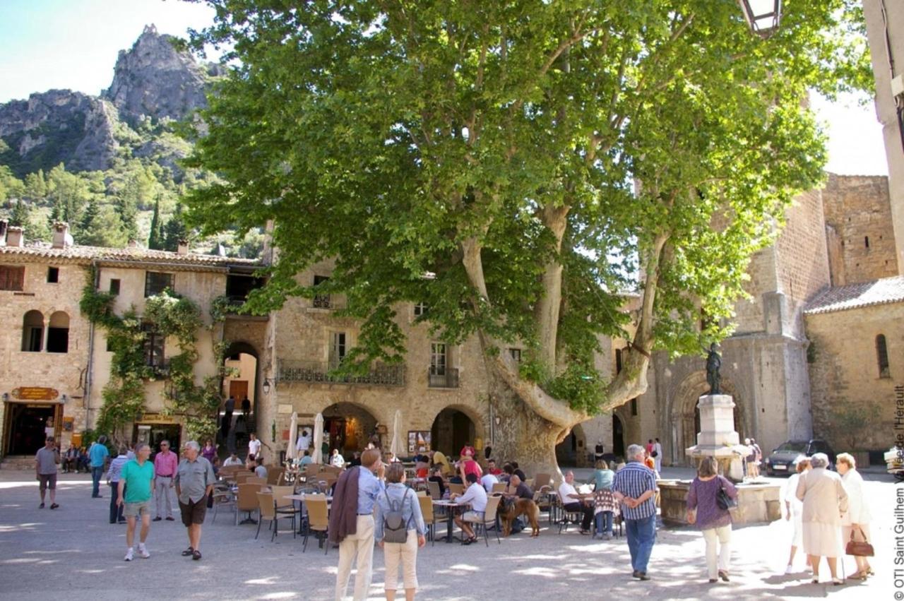 "Le Cocon"-Meuble De Tourisme 3 Etoiles -Residence "Les Logis De Beziers"-Garage Optionnel-Coeur De Ville-Plages A 16Km ! Buitenkant foto